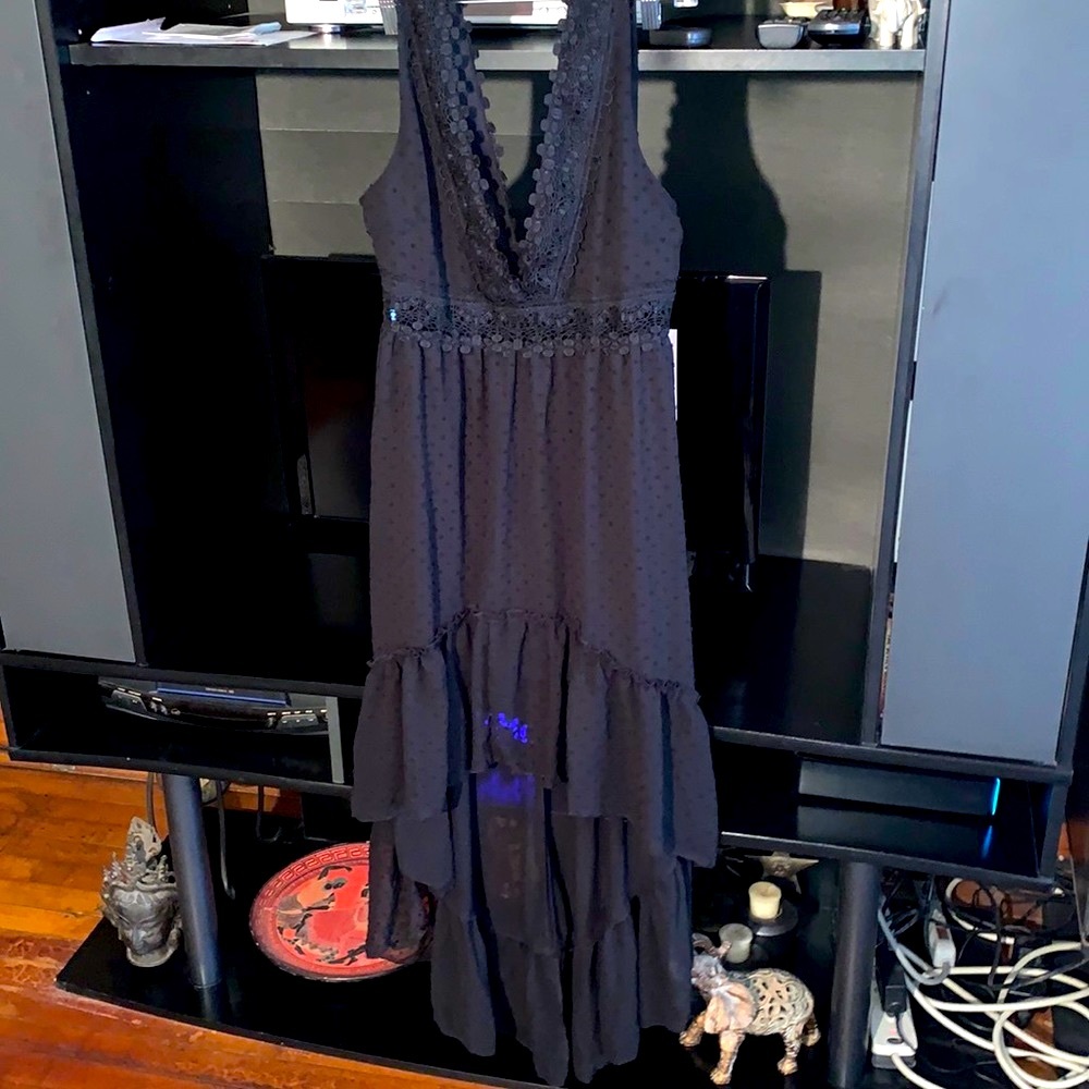 Blashe Dress back Zipper NWT Size M sheer dotted swiss